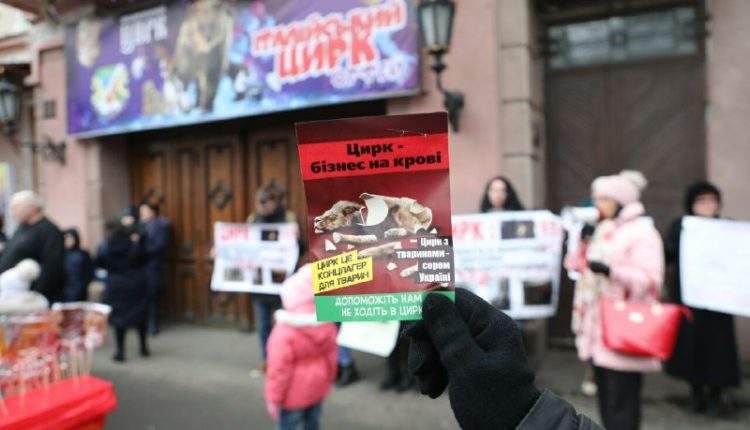 "Цирк — бизнес на крови": в Одессе защитники животных устроили очередную акцию протеста (фото)