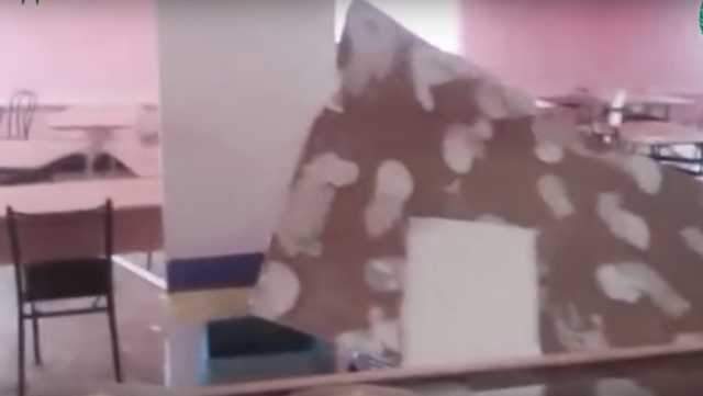 В Николаевской области в аварийной школьной столовой обрушился потолок (видео)