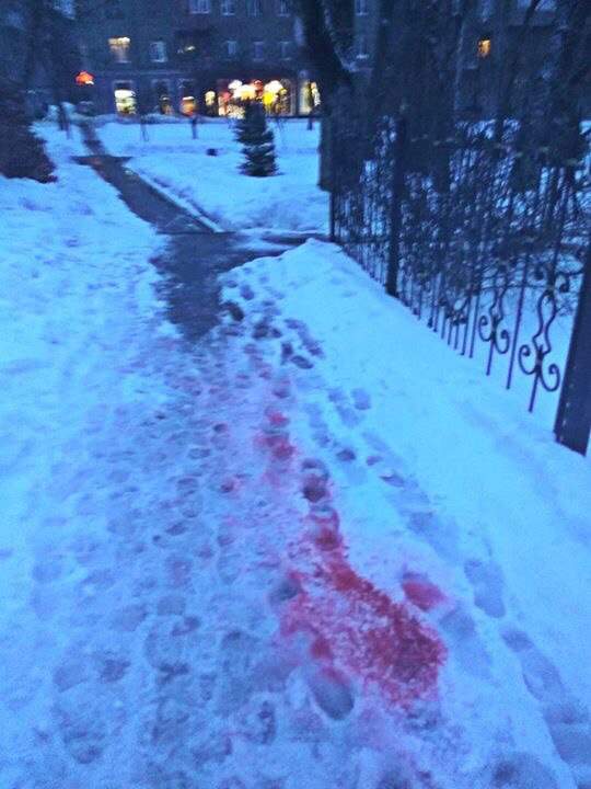 В Харькове на снегу разбросали яд для отравления собак (фото)