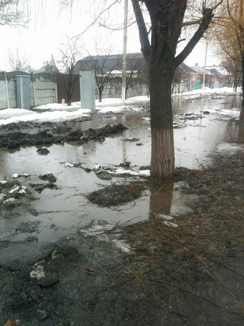 В Харьковской области дороги превратились в реки (фото)