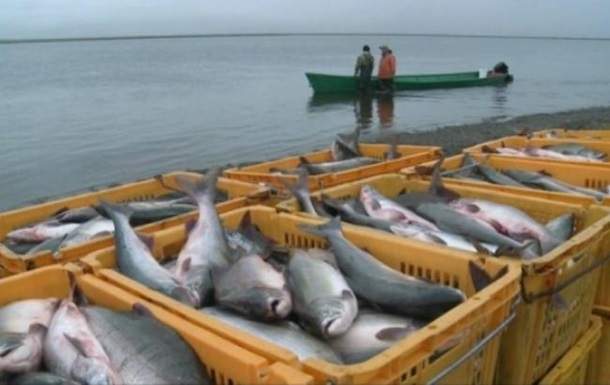 В Украине на большинстве водоемов запрещен массовый вылов рыбы