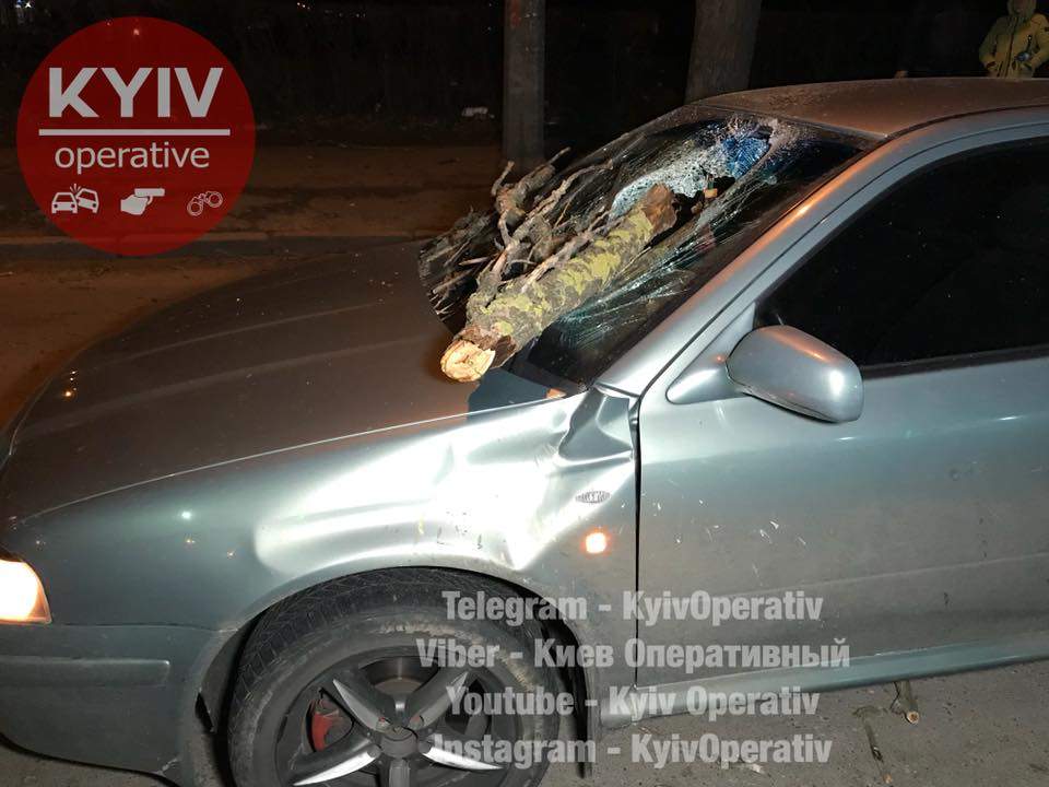 В Киеве из-за сильного ветра огромная ветка упала на автомобиль с семьёй (видео)
