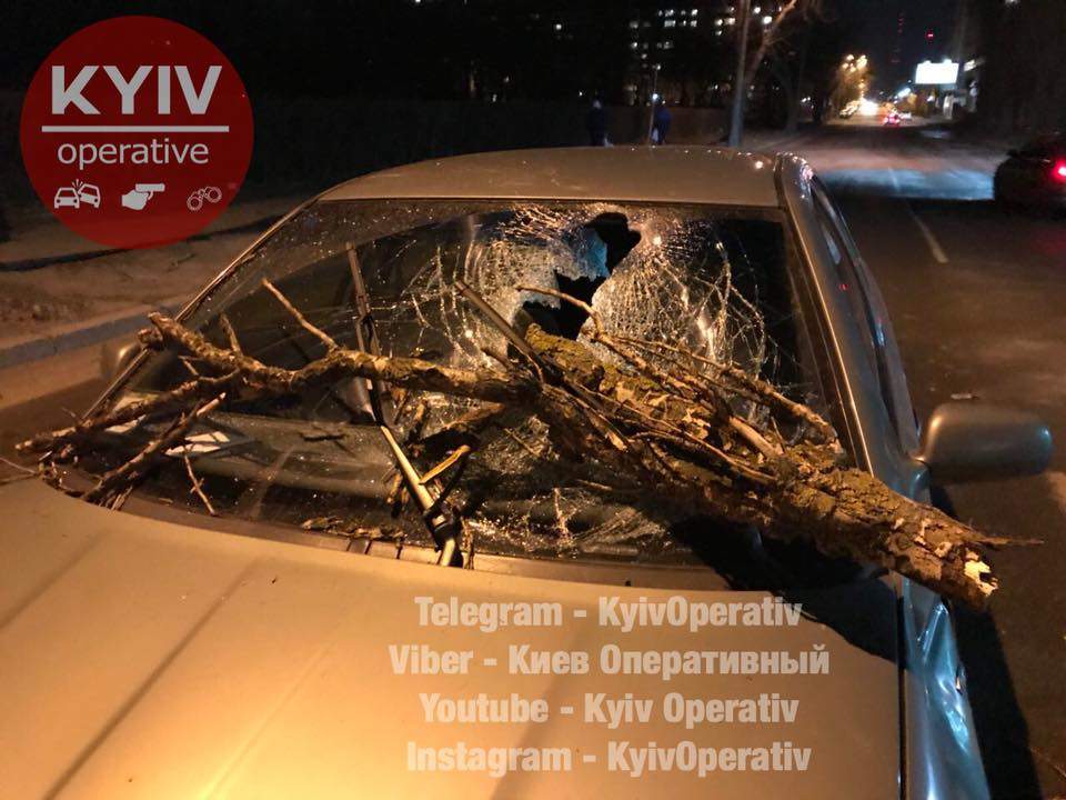 В Киеве из-за сильного ветра огромная ветка упала на автомобиль с семьёй (видео)