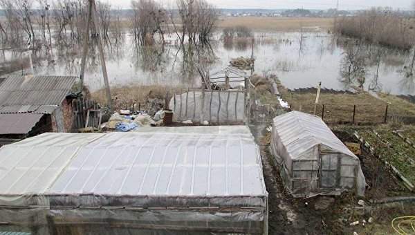 В Харьковской области разлилась река Мжа, подтоплены погреба и огороды