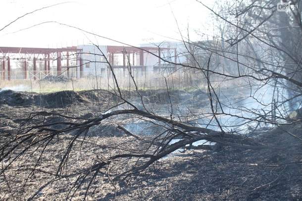 В Запорожье около больницы произошел пожар (фото)
