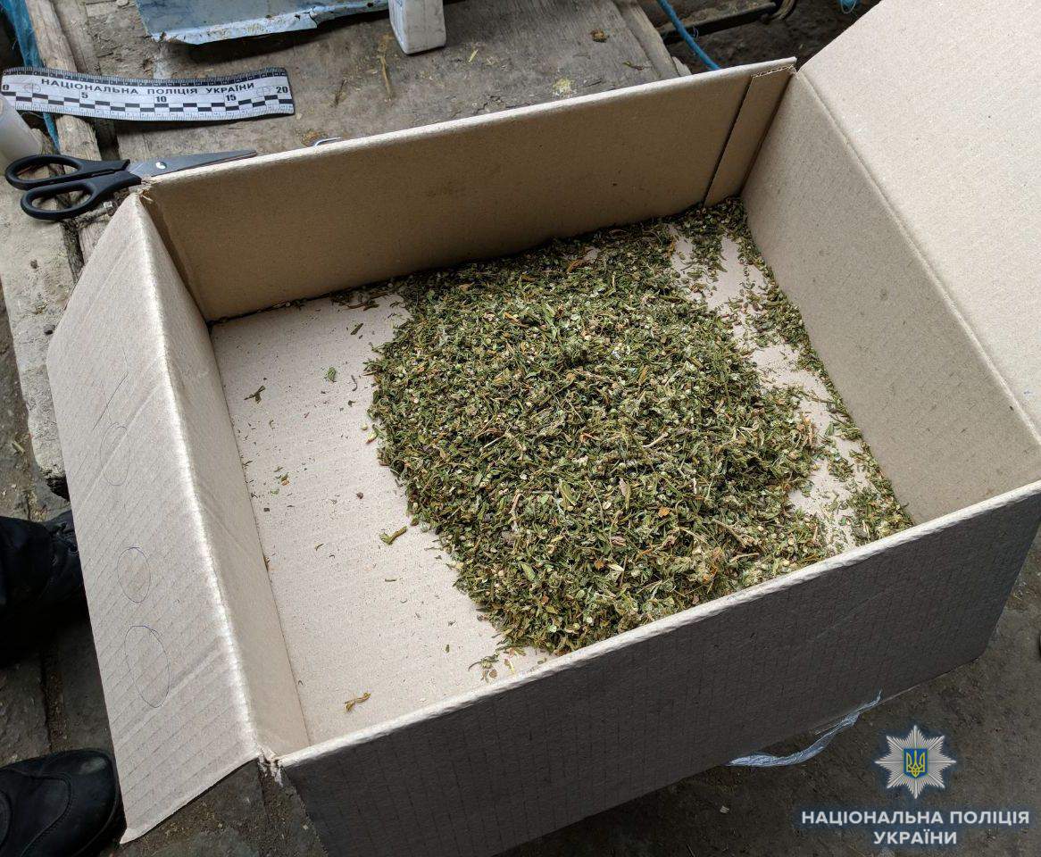 У одессита обнаружили дома марихуану и арбалет (фото)