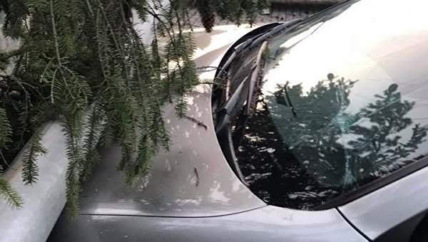Ивано-Франковской области на горнолыжном курорте  столб   упал на автомобиль 