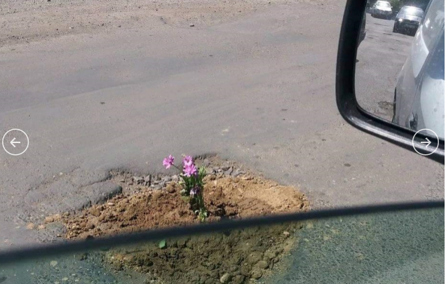 В Закарпатской области в честь плохих дорог жители начали высаживать цветы  