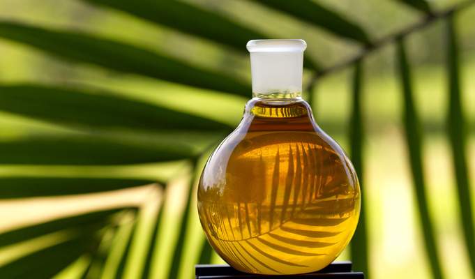 Украинцам запретили использовать пальмовое масло в производстве пищевых продуктов