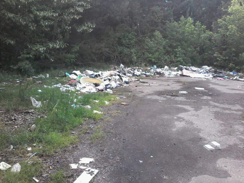 На Волыне один из городов усыпан мусором (фото)