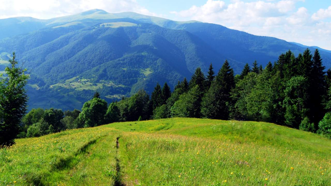 Группа туристов из Львова заблудилась в горах в Ивано-Франковской области