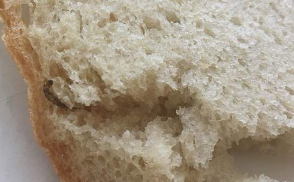 В Луцке жительница приобрела хлеб с червяком внутри (фото)