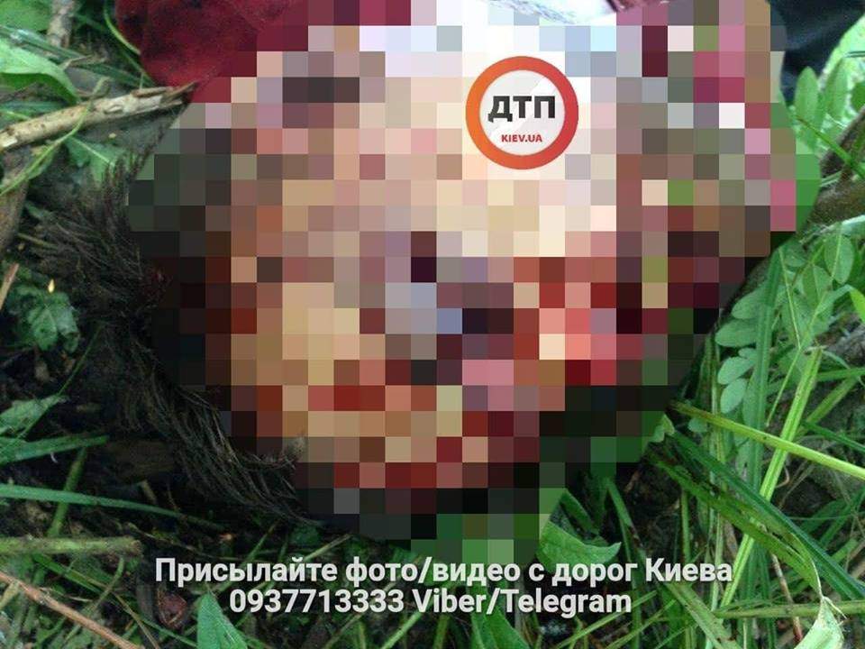 В Киеве нашли труп задушенного молодого человека (фото)