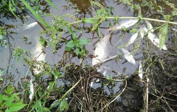 В Винницкой области прорвало трубу  спиртзавода, отходы стекаю в в реку