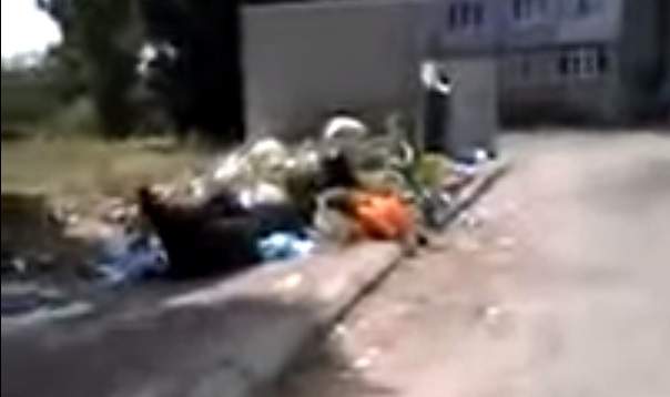 Жители Аккермана страдают от не вывезенного мусора: район постепенно заполняют бытовые отходы (видео)