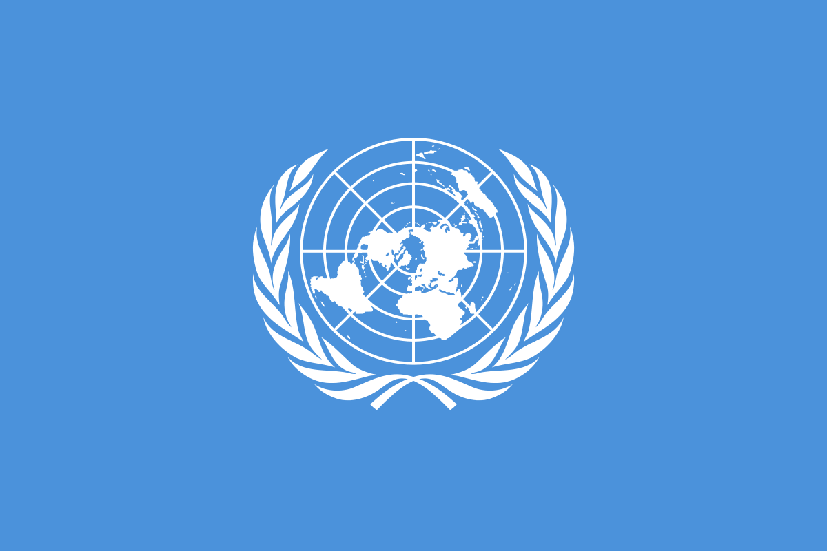 ООН заняла сторону ромов в конфликтах на Украине