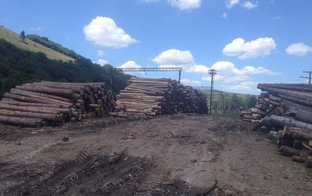 В Закарпатской области на продаже неучтенного леса поймали мастера леса