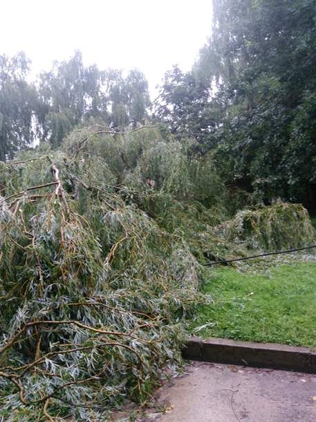 Во Львове пронесся ураган, который повалил деревья и туалеты, а также поджег столбы