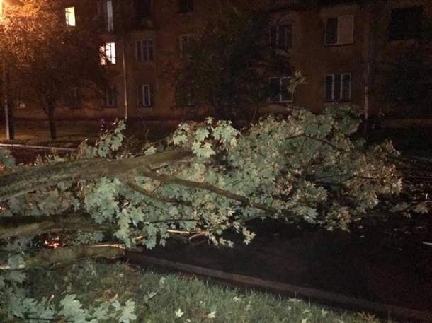 Во Львове пронесся ураган, который повалил деревья и туалеты, а также поджег столбы