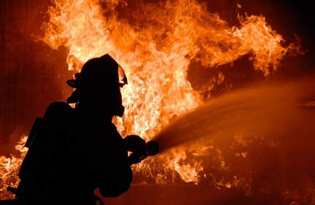 В Харьковской области произошёл серьёзный пожар в лесу
