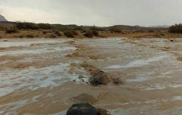 В Иордании в результате наводнения погибли 11 человек