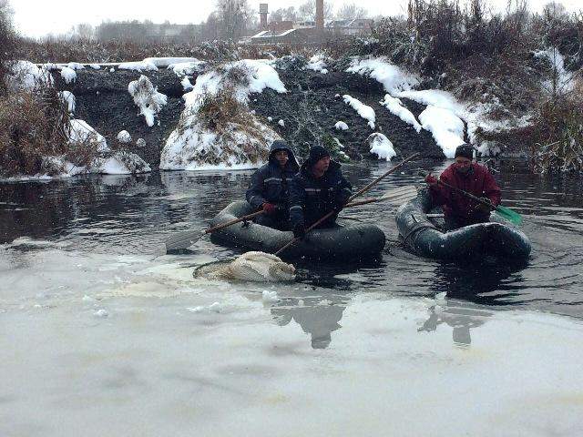 В Житомирской области спасатели вытащили травмированного лебедя (фото)