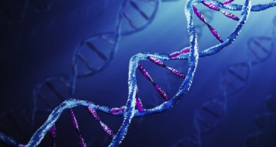 Нестандартные образцы для теста ДНК