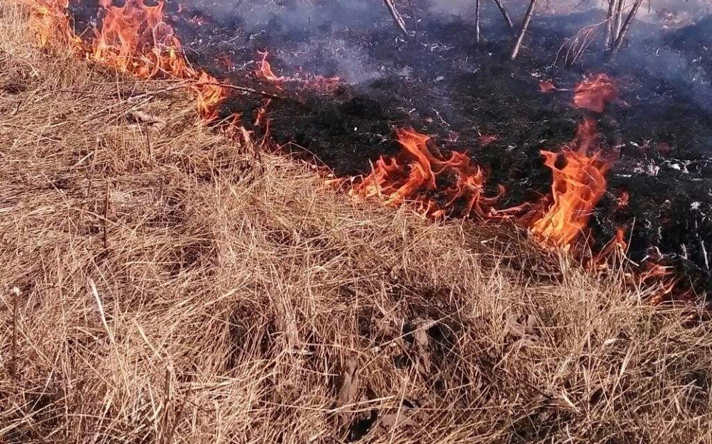 На Киевщине сжигая сухую траву едва не погибла женщина