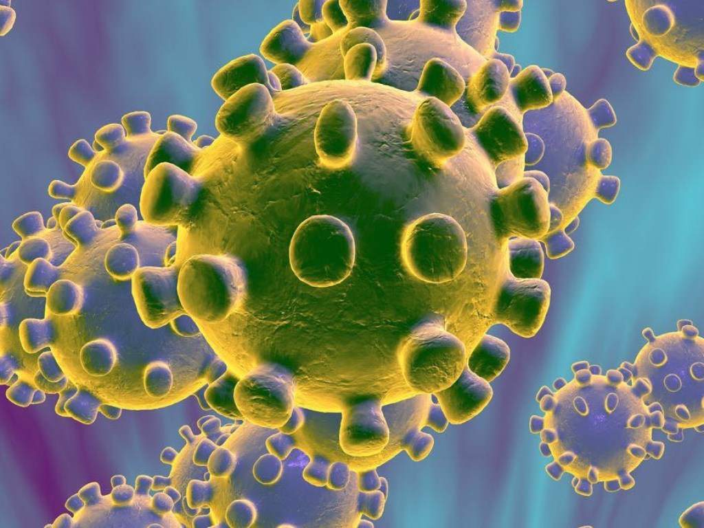 Алкоголь и термобработка: Стала известна защита от коронавируса