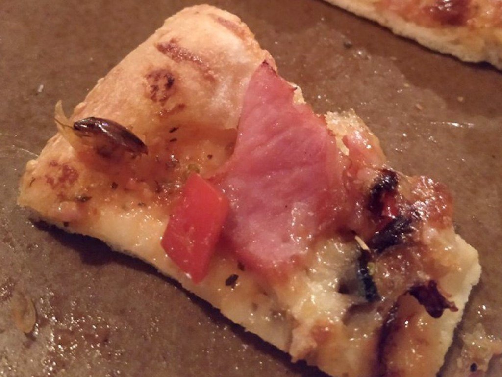 В Днепре посетителям ресторана подали пиццу с ползучим «сюрпризом» (ФОТО)