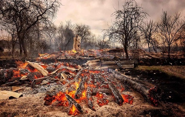 Последствия весенних пожаров в Житомирский области оценивают в миллиард