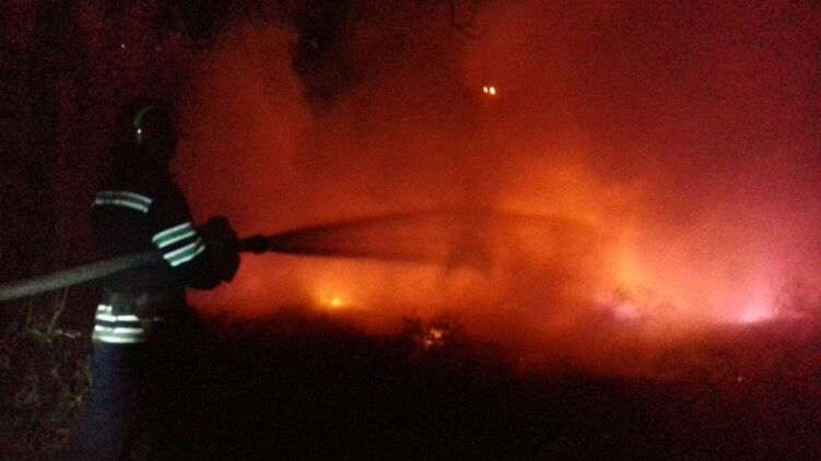 Площадь пожаров в Луганской области уже более 13 га