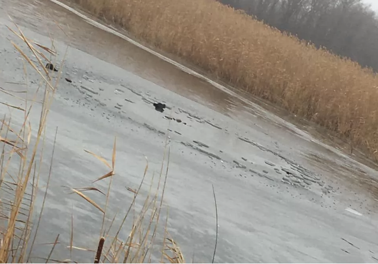 В Днепропетровской области утонули двое рыбаков