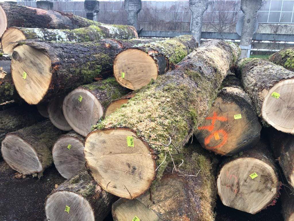 Украина получила первый импорт необработанной древесины из Франции