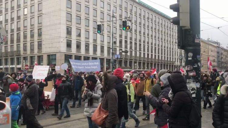 В столице Австрии прошел массовый протест против локдауна (ВИДЕО)